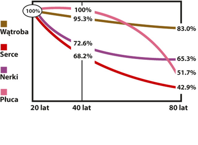 На рисунке показано среднее, естественное снижение содержания Q10 в различных органах у людей в возрасте от 20 до 80 лет